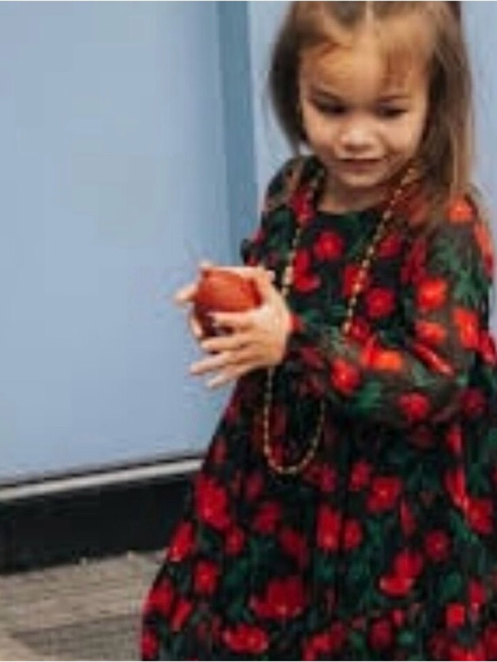 Carter's Child of Mine LS red and black floral chiffon toddler girl dress 2T 2A